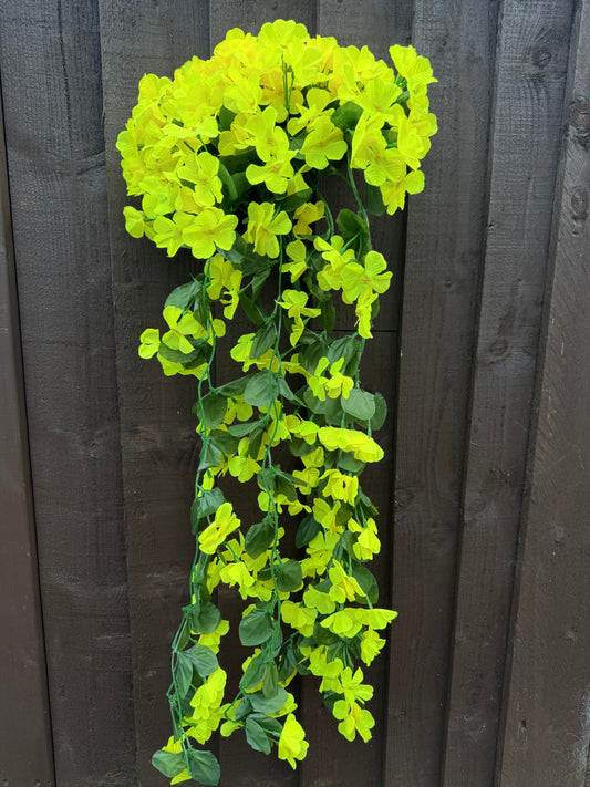 TRAILING BLOSSOM YELLOW