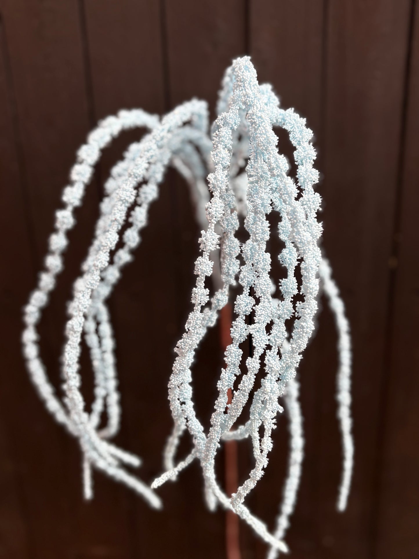 SEEDED AMARANTHUS BABY BLUE