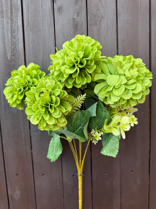 AUTUMN CHRYSANTHEMUM GREEN