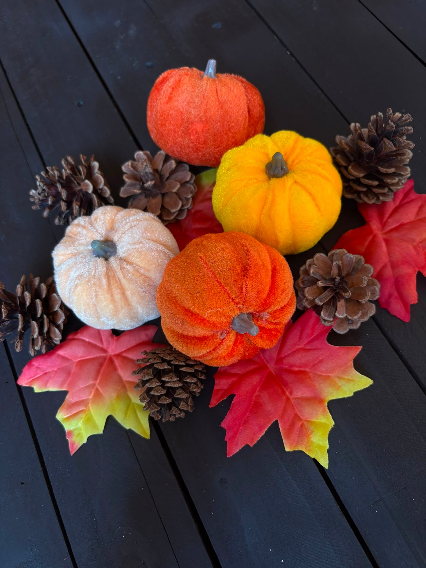 MIXED PUMPKIN CONE LEAF BAG
