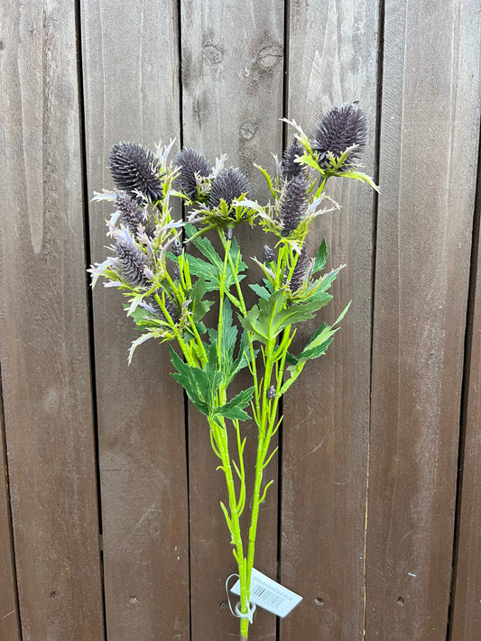 68cm SEA HOLLY PURPLE