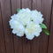 PEONY
