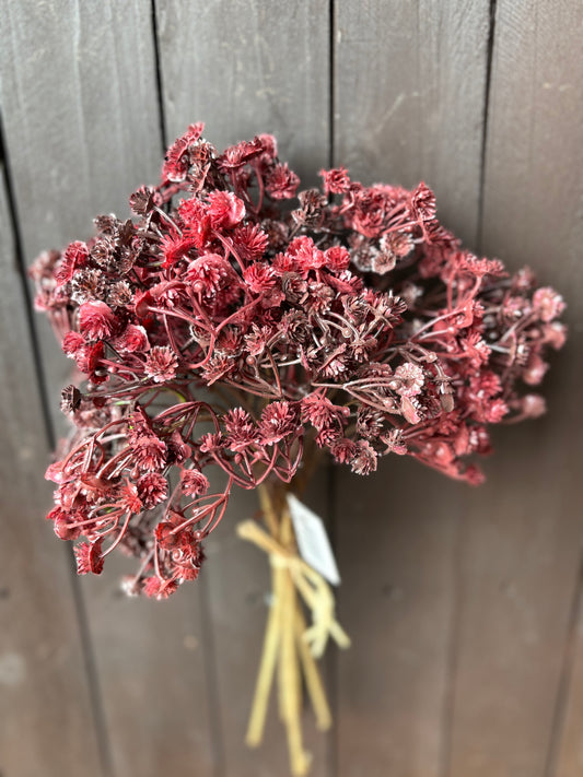 DRIED LOOK GYP BUNCH DEEP RED
