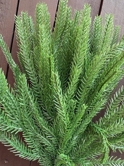 35cm NORFOLK SPRUCE SPRAY x 12pcs GREEN