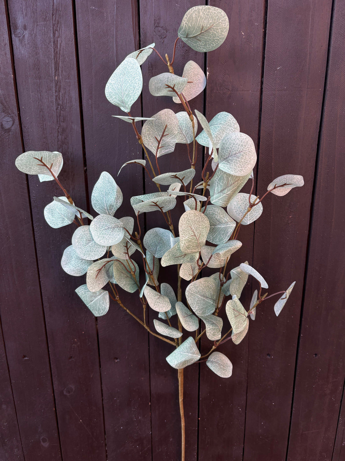 70cm EUCALYPTUS SPRAY GREEN
