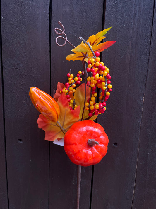 AUTUMN RED YELLOW CLUSTER BERRY PUMPKIN PICK