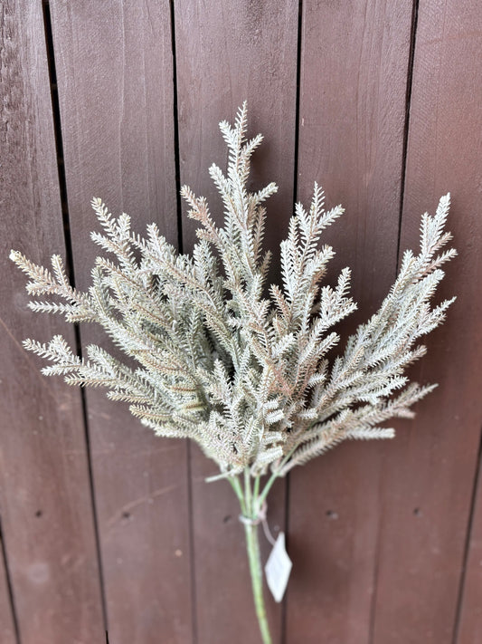 LONG STEM FIR BUNCH