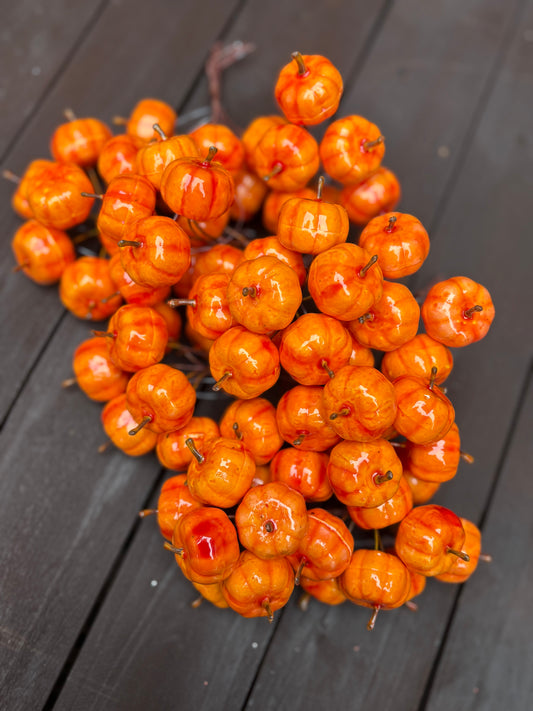 12cm MINI PUMPKIN BUNDLE (6 STEMS)