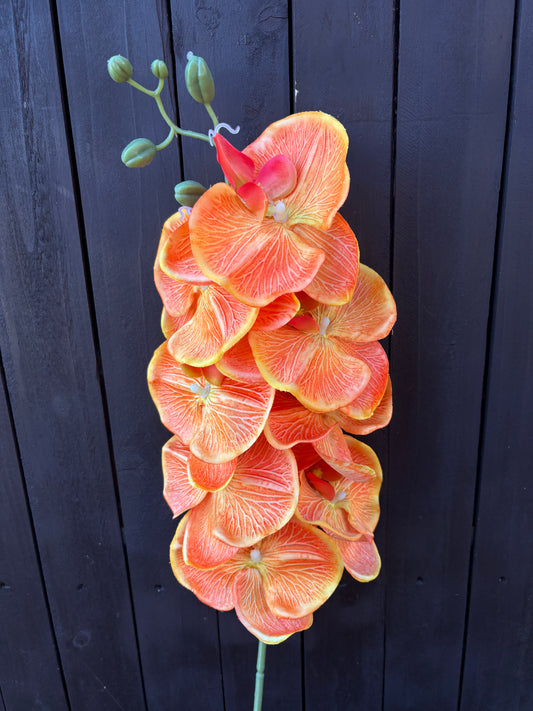 105cm PHALAENOPSIS ORCHID SPRAY ORANGE