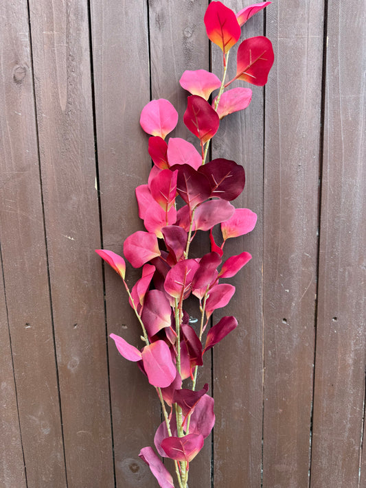SILVER DOLLAR EUCALYPTUS SPRAY