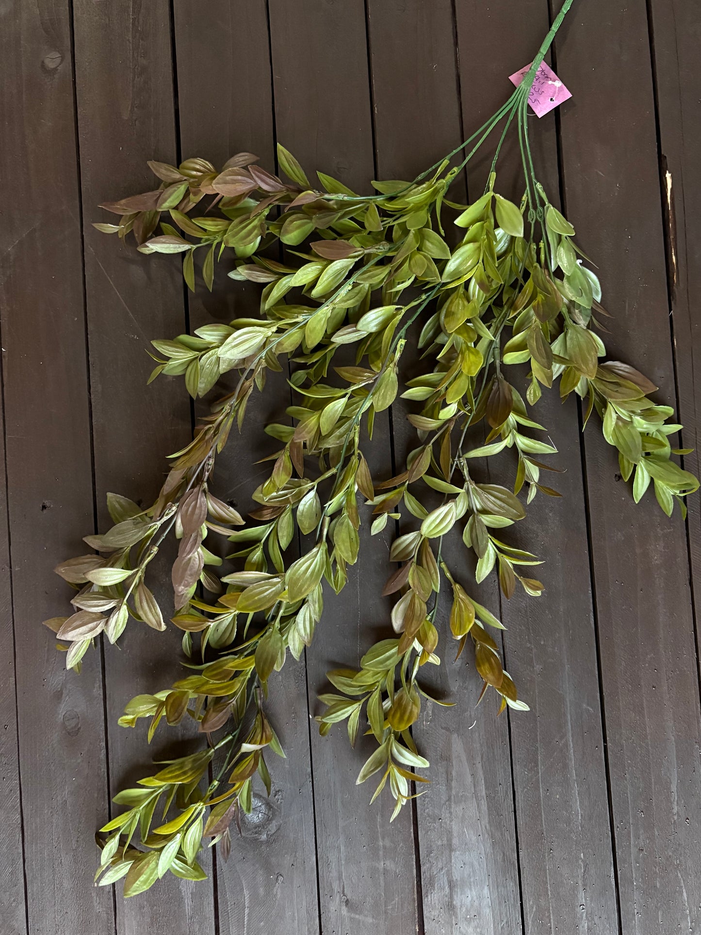 76cm TRAILING RUSCUS BUSH GREEN/BROWN