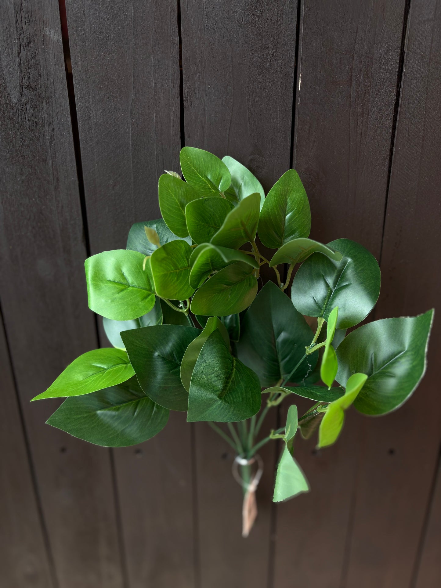 33cm POTHOS BUSH DARK GREEN