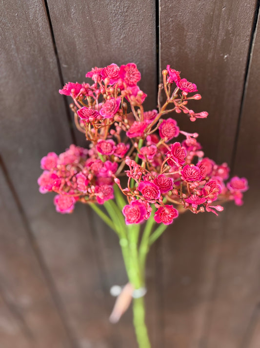 70cm CHLOE GYPSOPHILA BEAUTY