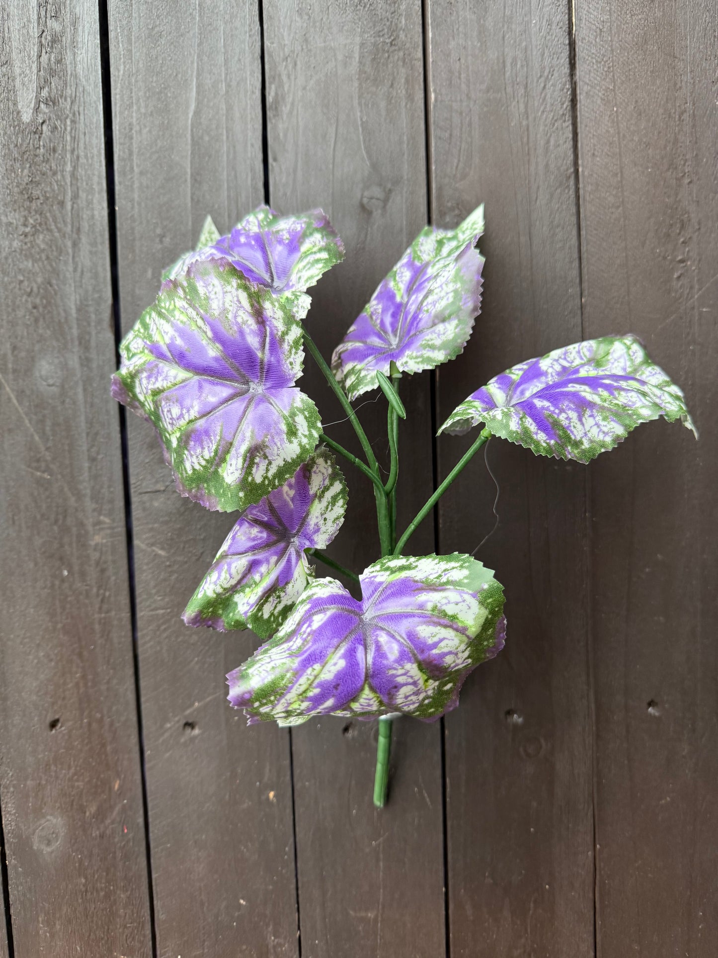 MEDIUM BEGONIA LEAF BUNCH PURPLE/GREEN