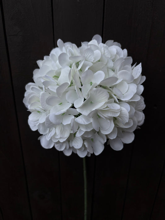 LARGE SINGLE HYDRANGEA STEM WHITE