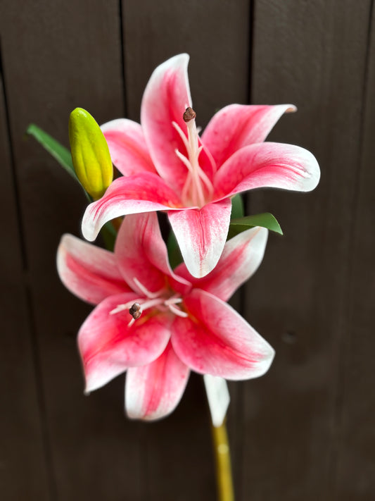 36cm DOUBLE LILY SPRAY PINK