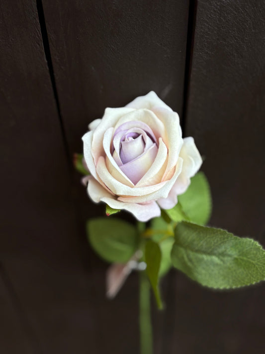 50cm SINGLE VELVET TOUCH OPEN ROSE CREAM/LILAC