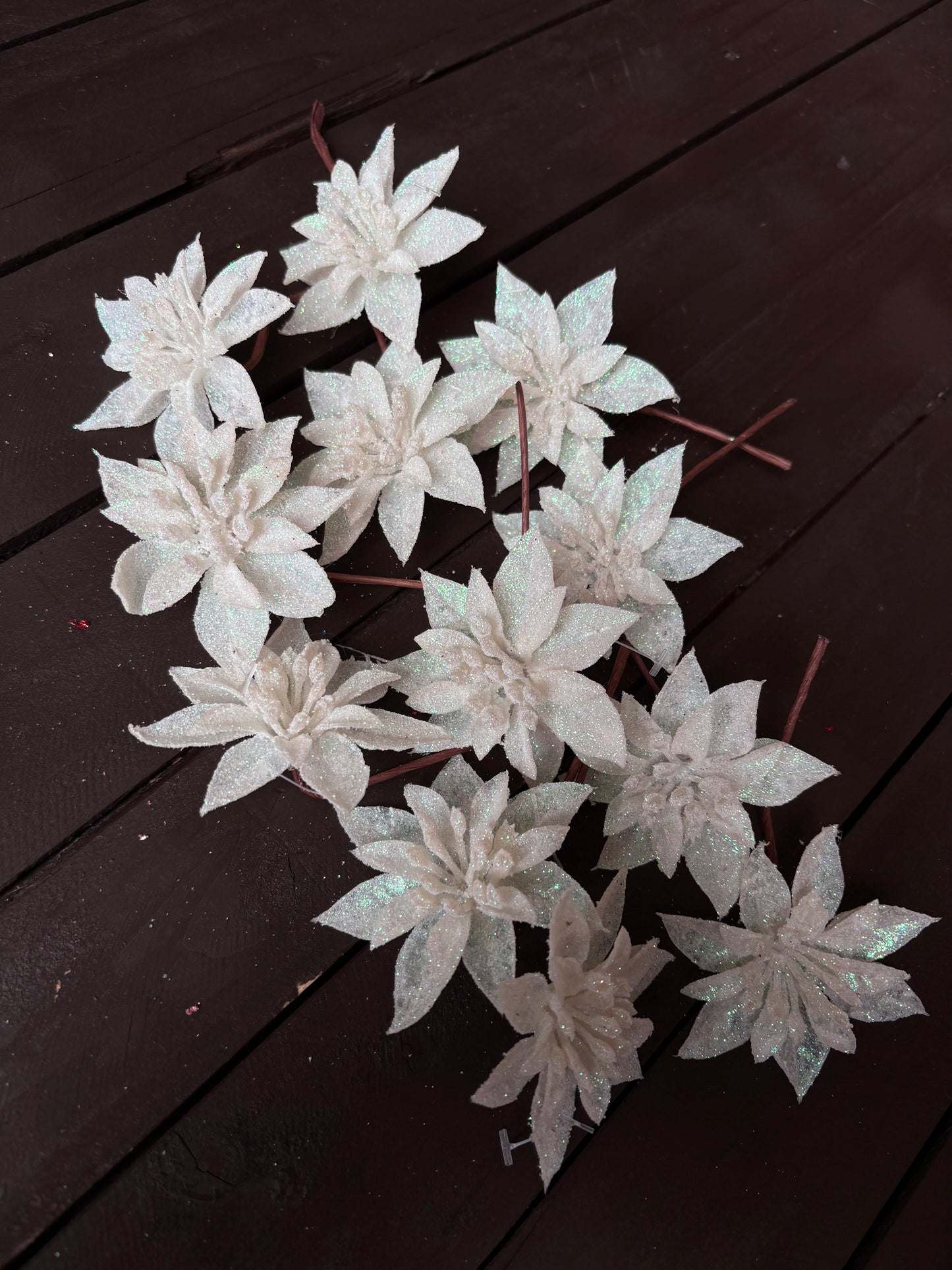 BAG 12cm SINGLE POINSETTIA x 12pcs WHITE