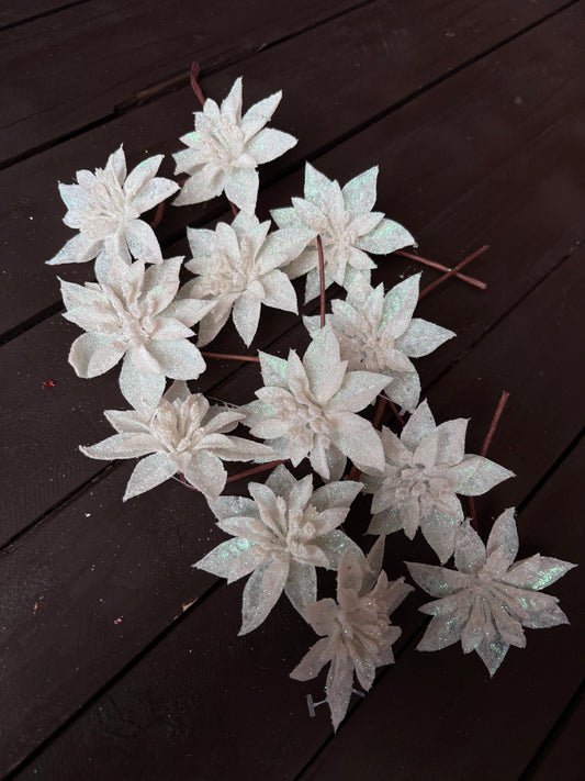BAG 12cm SINGLE POINSETTIA x 12pcs WHITE