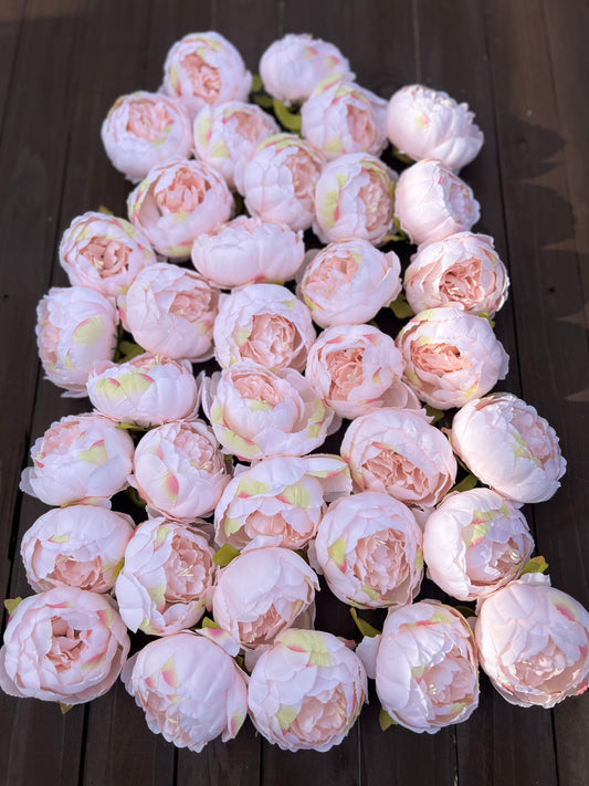 DELUXE SINGLE LIGHT PINK PEONY FLOWER HEAD BOX x36pcs