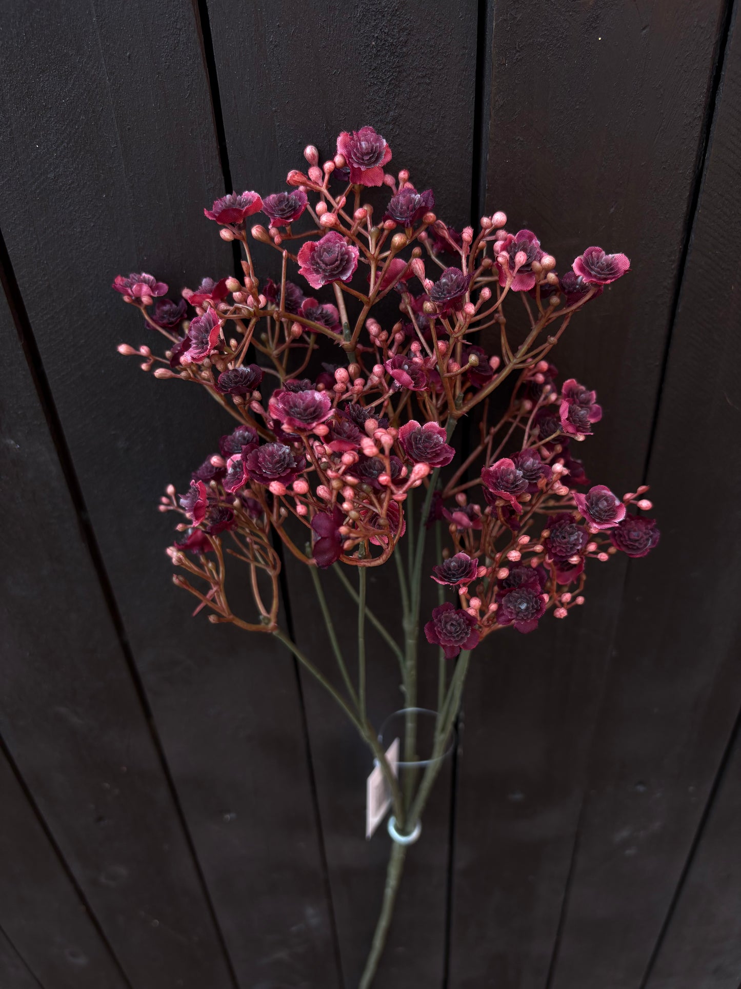 70cm DRY GYP SPRAY BURGUNDY