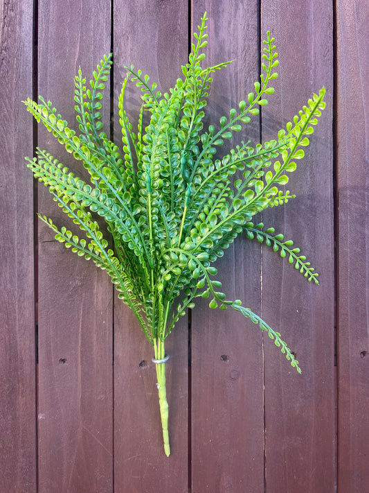AMERICAN BEADED GRASS