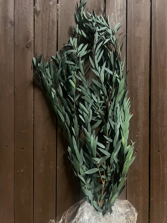 70cm DRIED EUCALPYTUS GREEN
