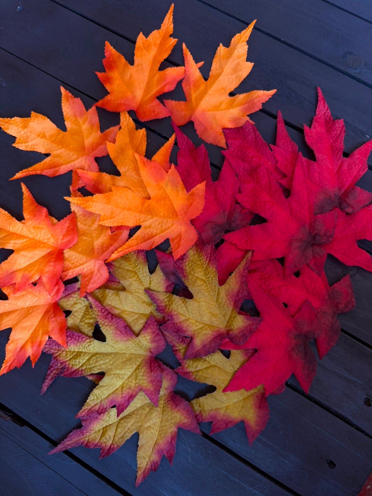 AUTUMN LEAF PACK OF 24 (3 COLOURS)