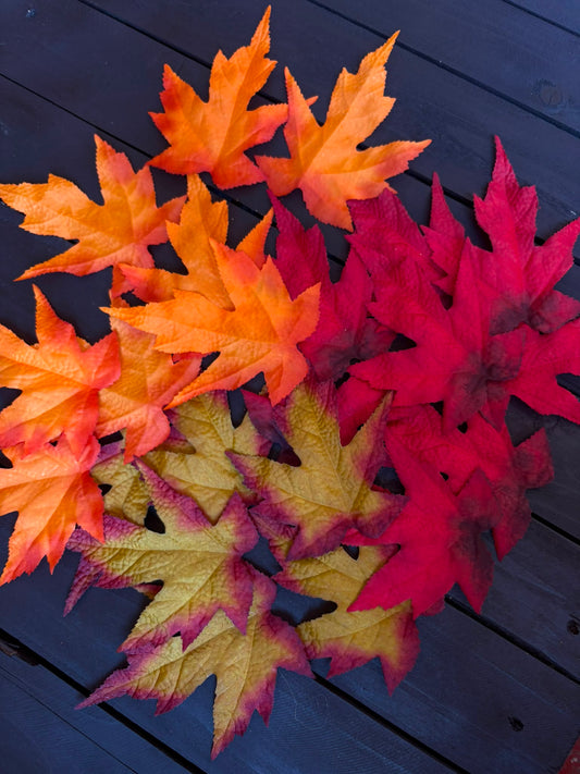 MAPLE LEAF PACK OF 24 (3 COLOURS)