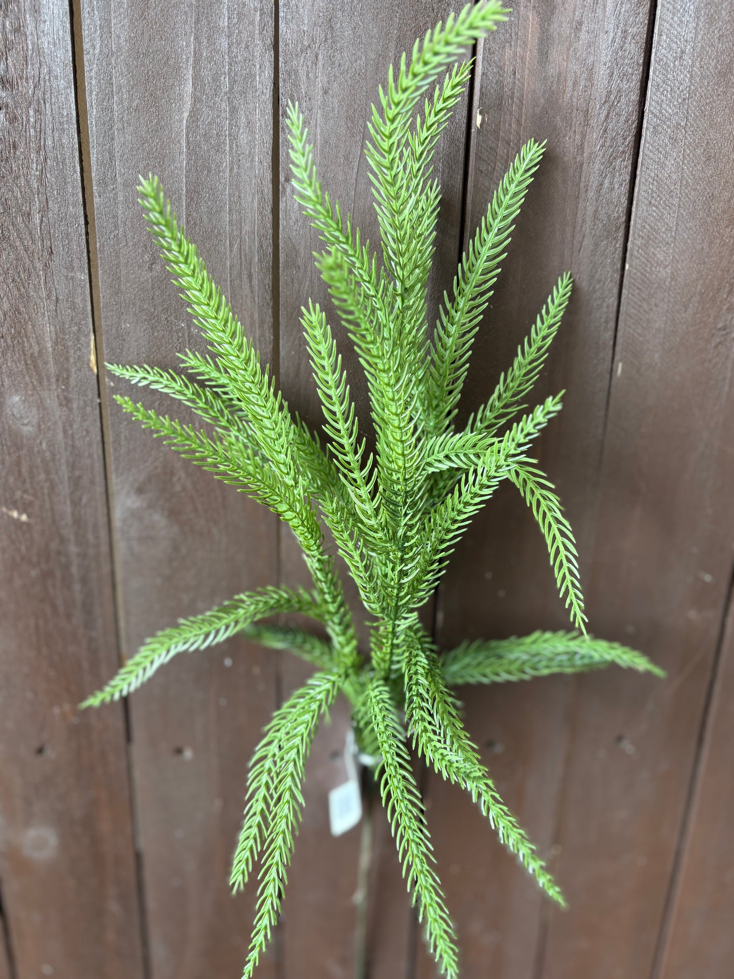 50cm SMALL REAL TOUCH WEEPING NORFOLK PINE PICK