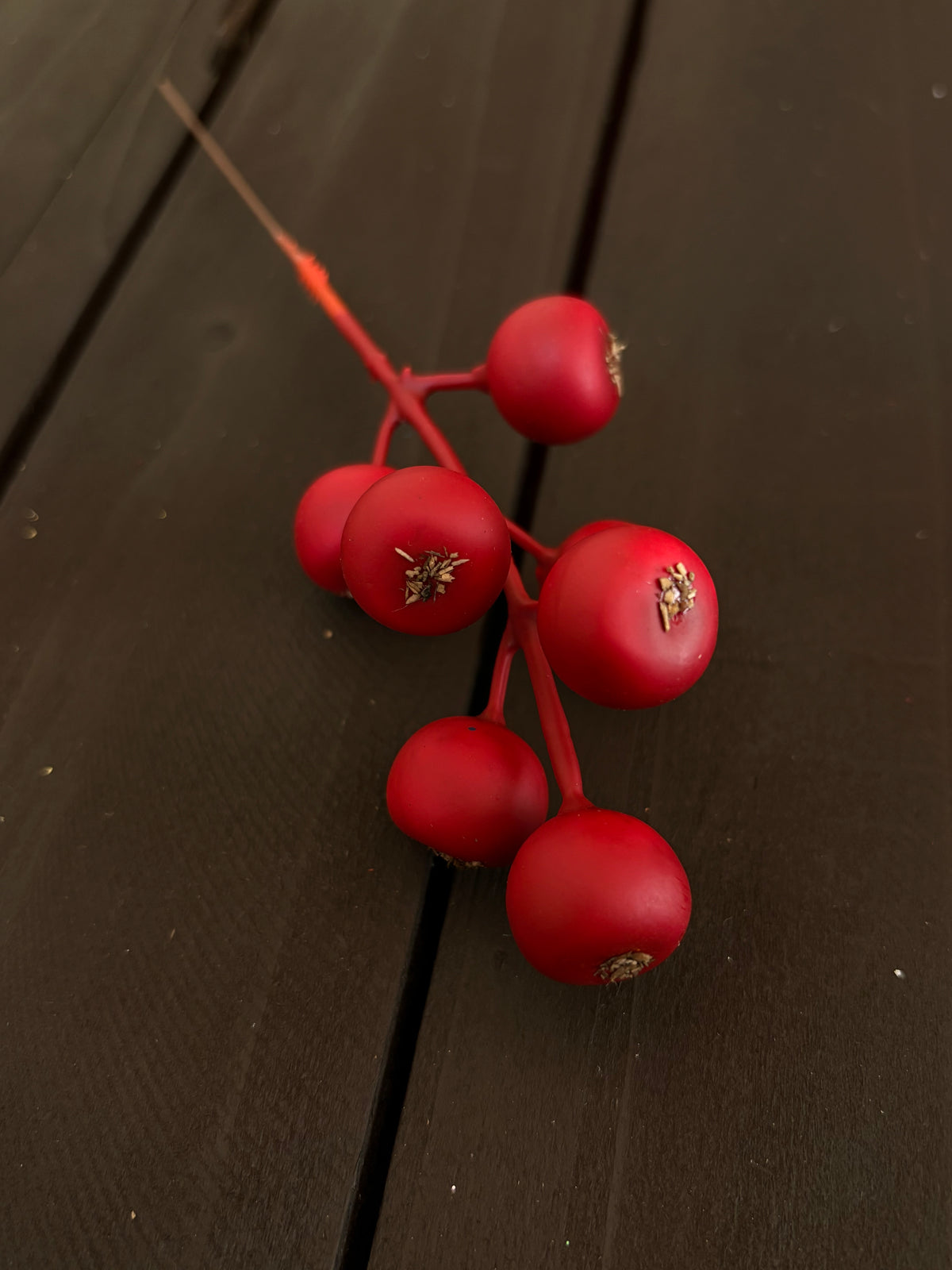 PACK 12 17cm ROSEHIP PICK RED
