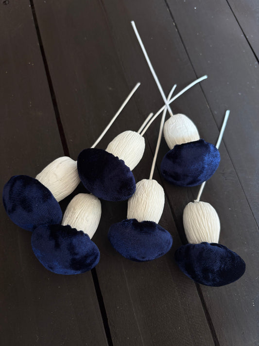 PACK 6 MUSHROOM PICK NAVY