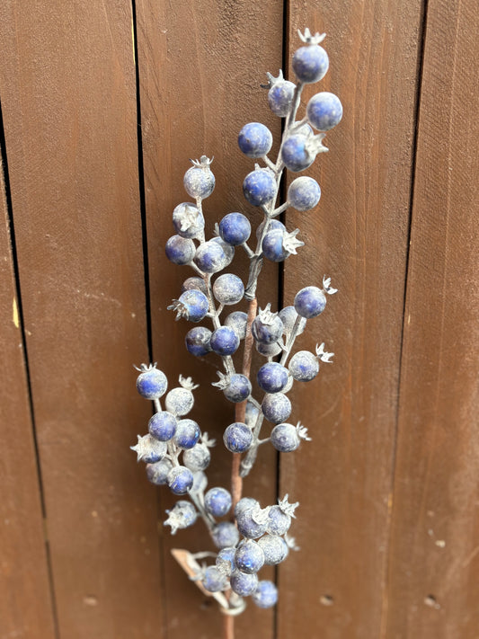 ROSEHIP STEM FROSTY BLUE