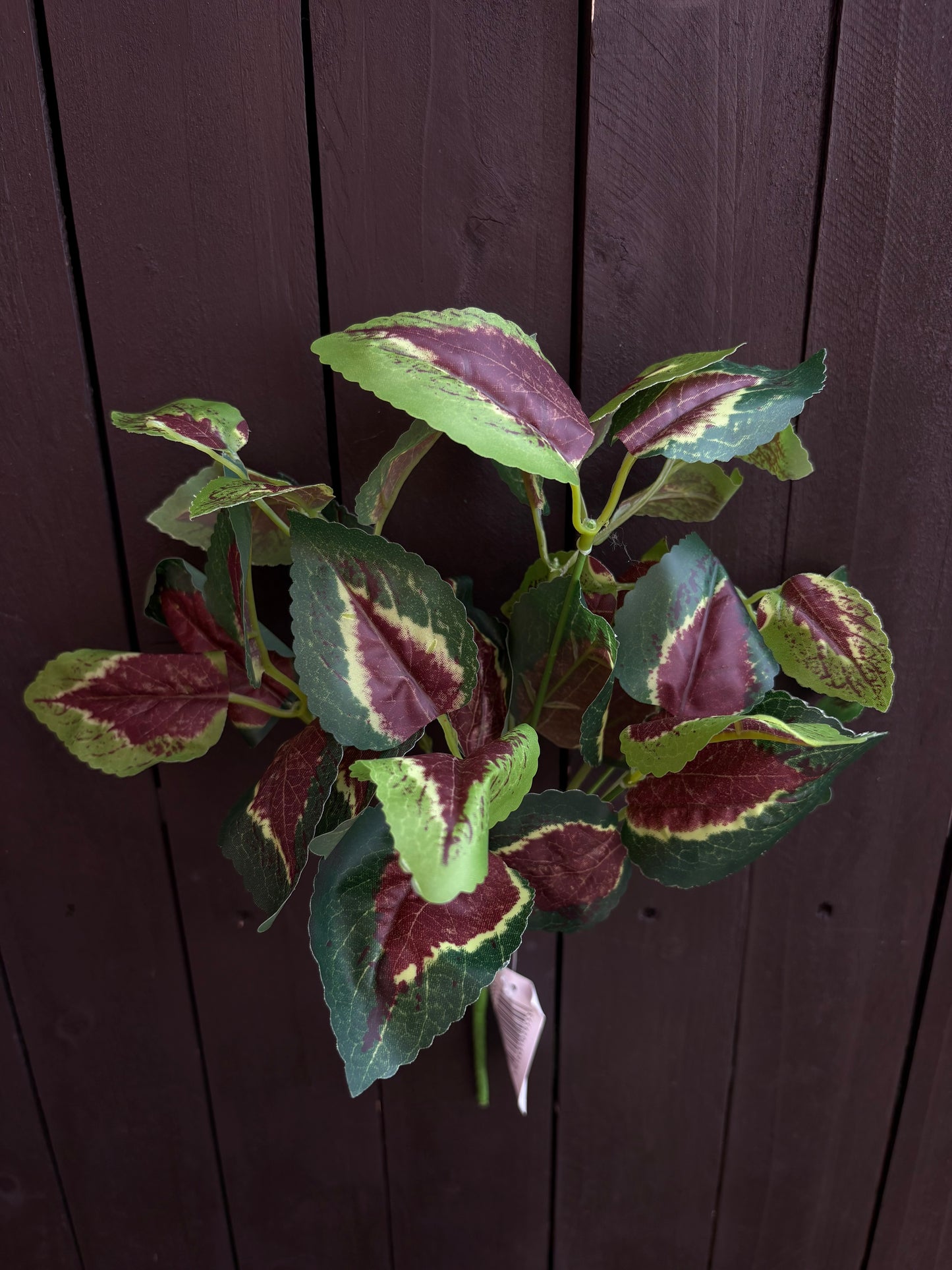 32cm COLEUS BUSH GREEN/RED