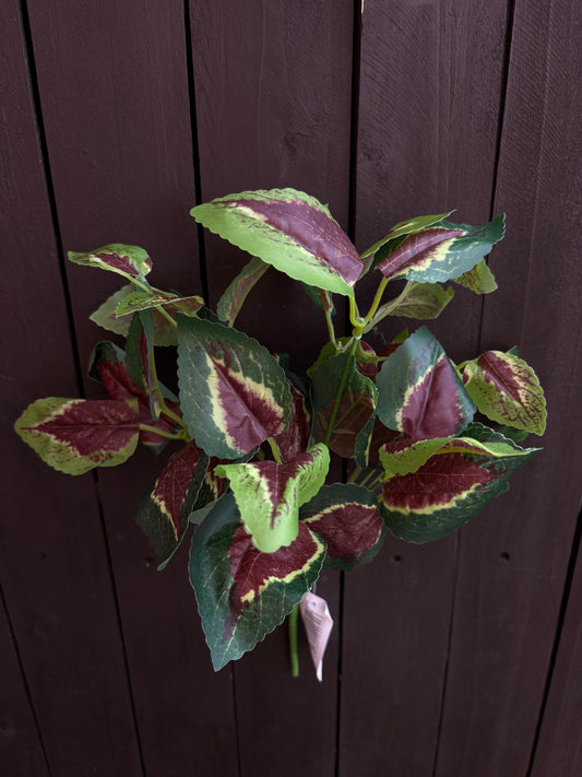 32cm COLEUS BUSH GREEN/RED