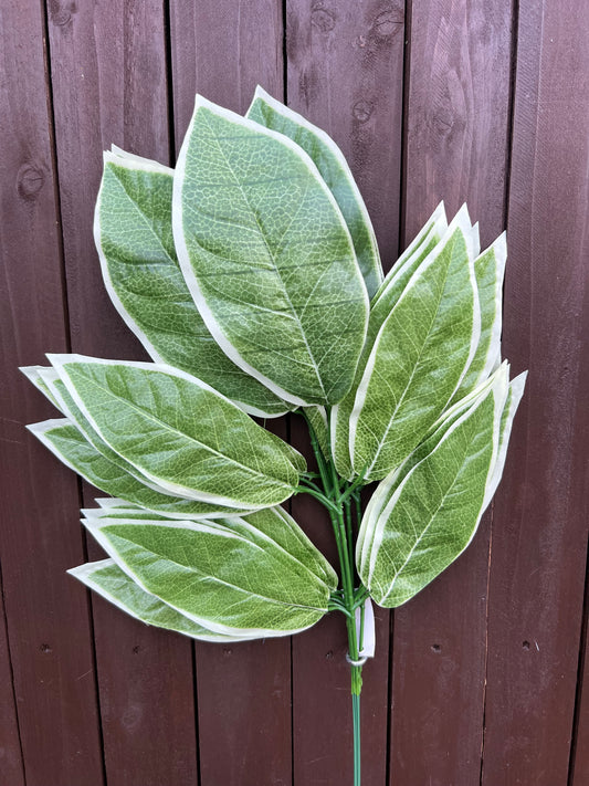 62cm LARGE MAGNOLIA LEAF SPRAY VARIEGATED 6PK
