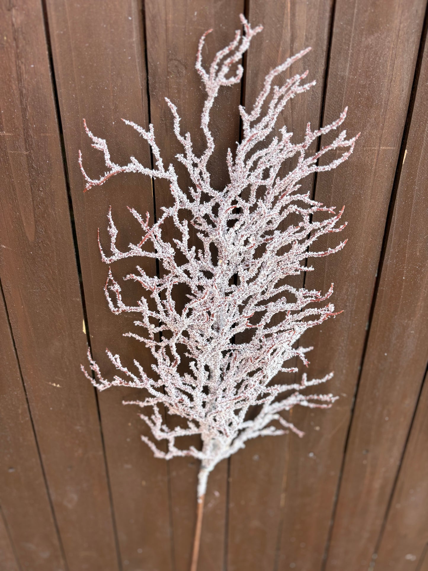 78cm FROSTED TWIG SPRAY