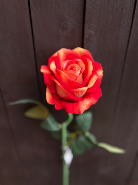 52CM SINGLE LARGE VELVET TOUCH OPEN ROSE ORANGE