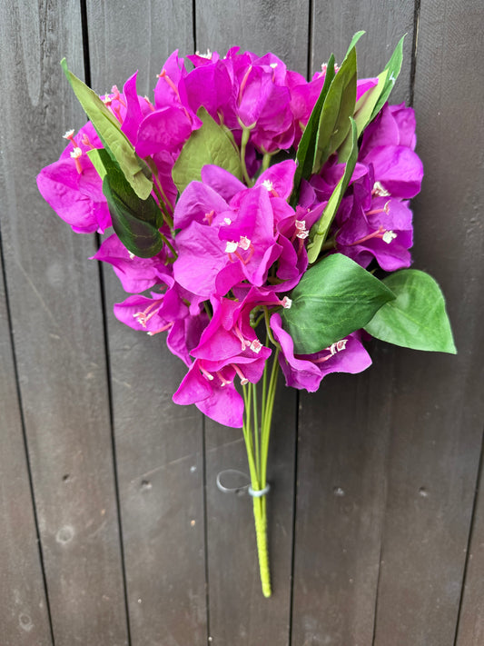 RITZY BOUGAINVILLEA BUNCH PURPLE