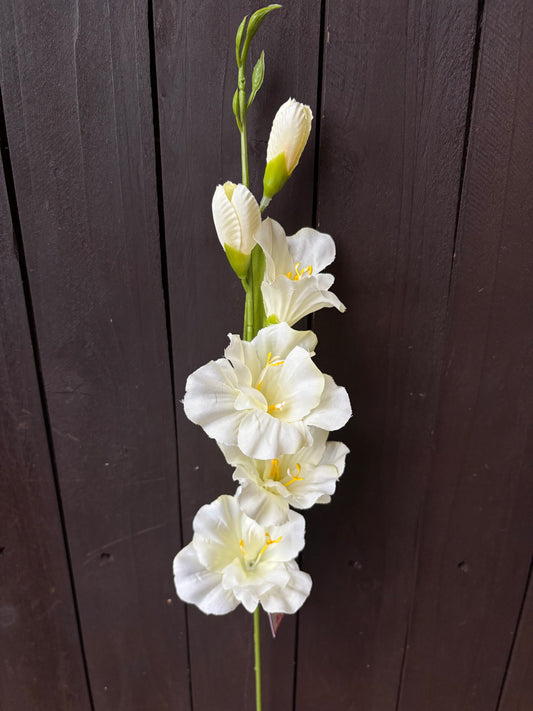 60cm GLADIOLUS SPRAY IVORY