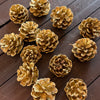 PINE CONES