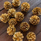 PINE CONES