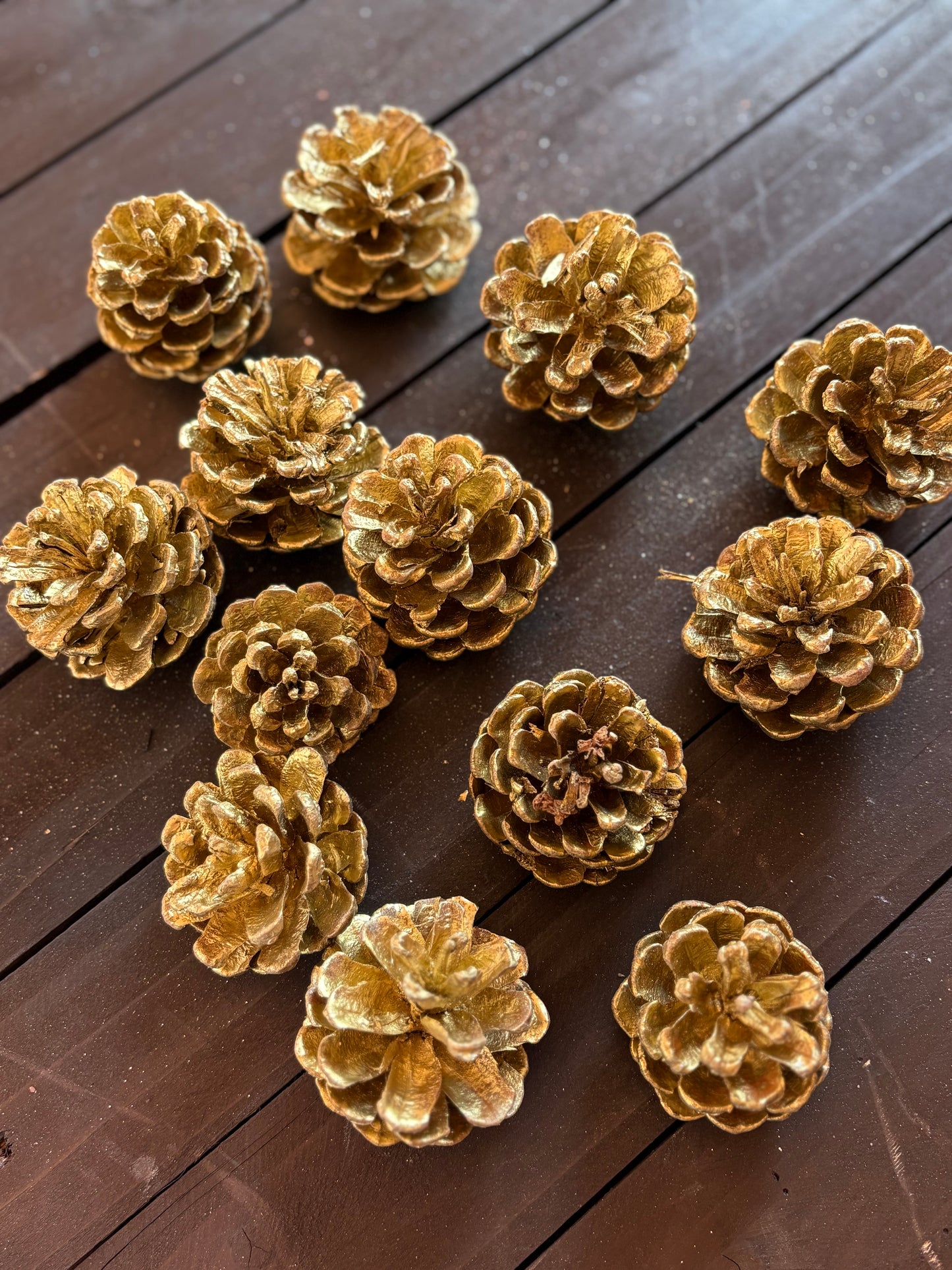 BAG PINE CONES GOLD (250g)