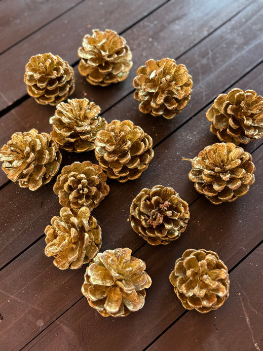 BAG PINE CONES GOLD (250g)