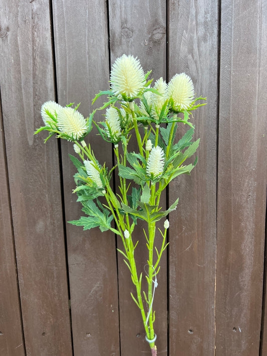 68cm SEA HOLLY IVORY