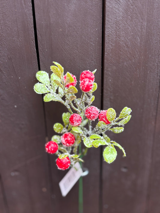 36cm FROSTED BERRY PICK RED