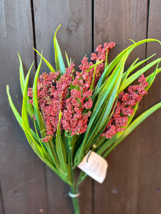 SEEDED ASTILBE GRASS RED