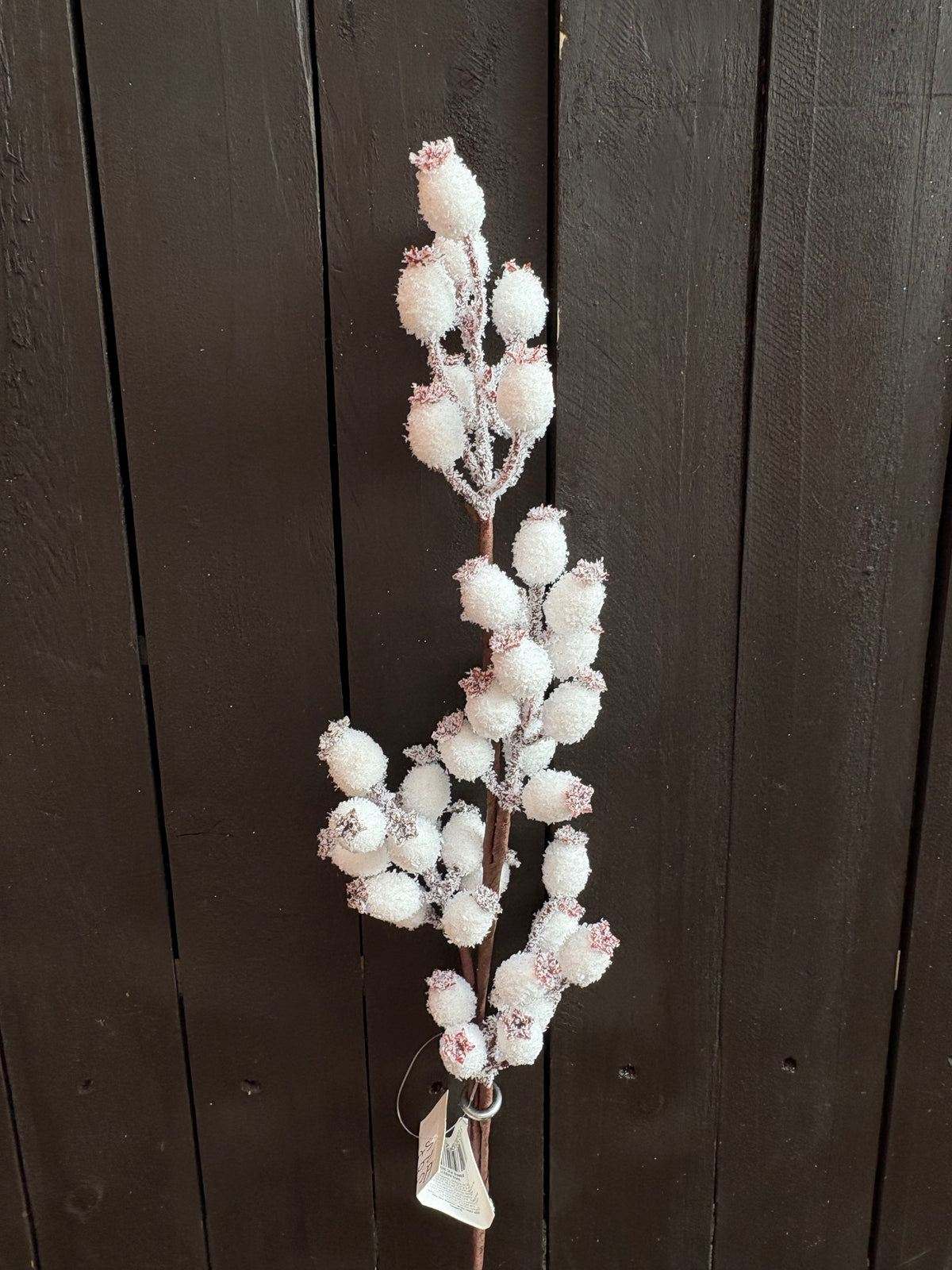 61cm SNOWY ROSEHIP STEM WHITE
