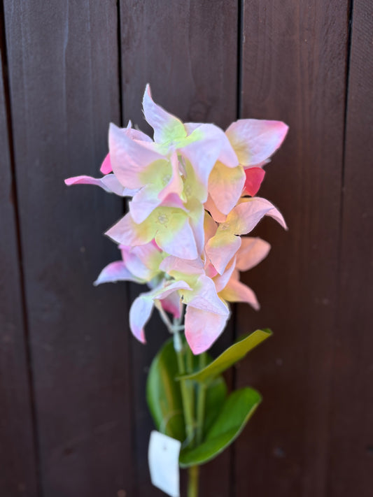 SILK YARA SPRAY GREEN/PINK