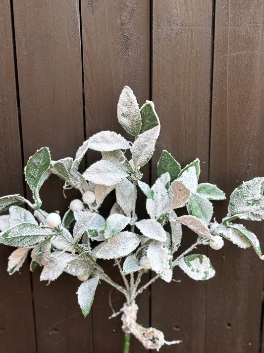 33cm HANGING SNOWY MISTLETOE BUSH